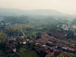 How Social Media Influences Tourism in Indonesia