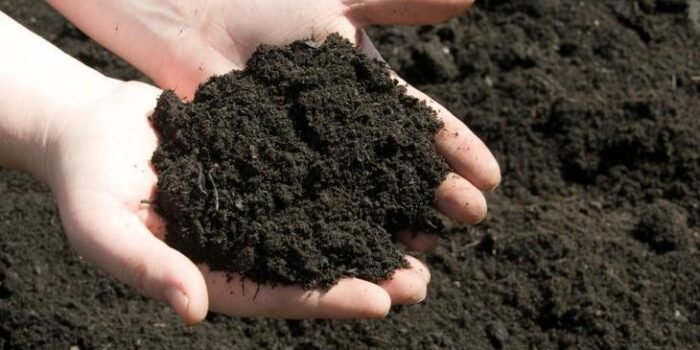 How to make the soil fertile and soft