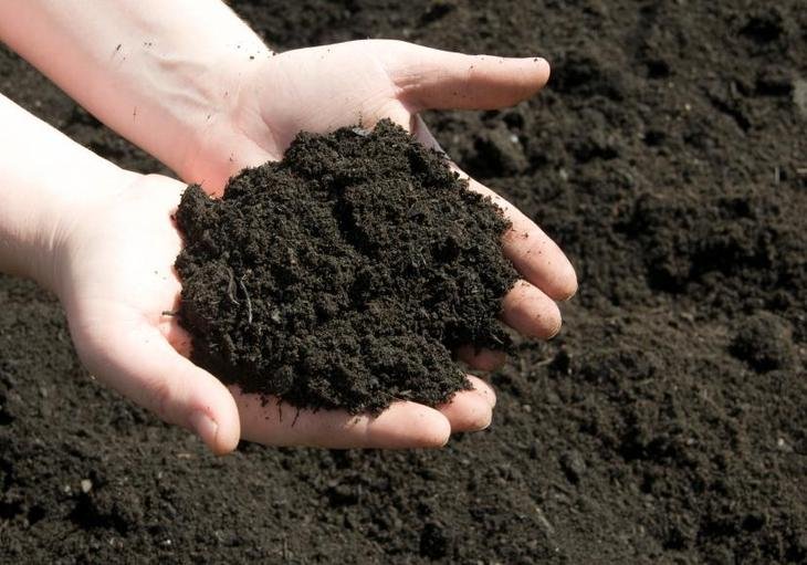 How to make the soil fertile and soft